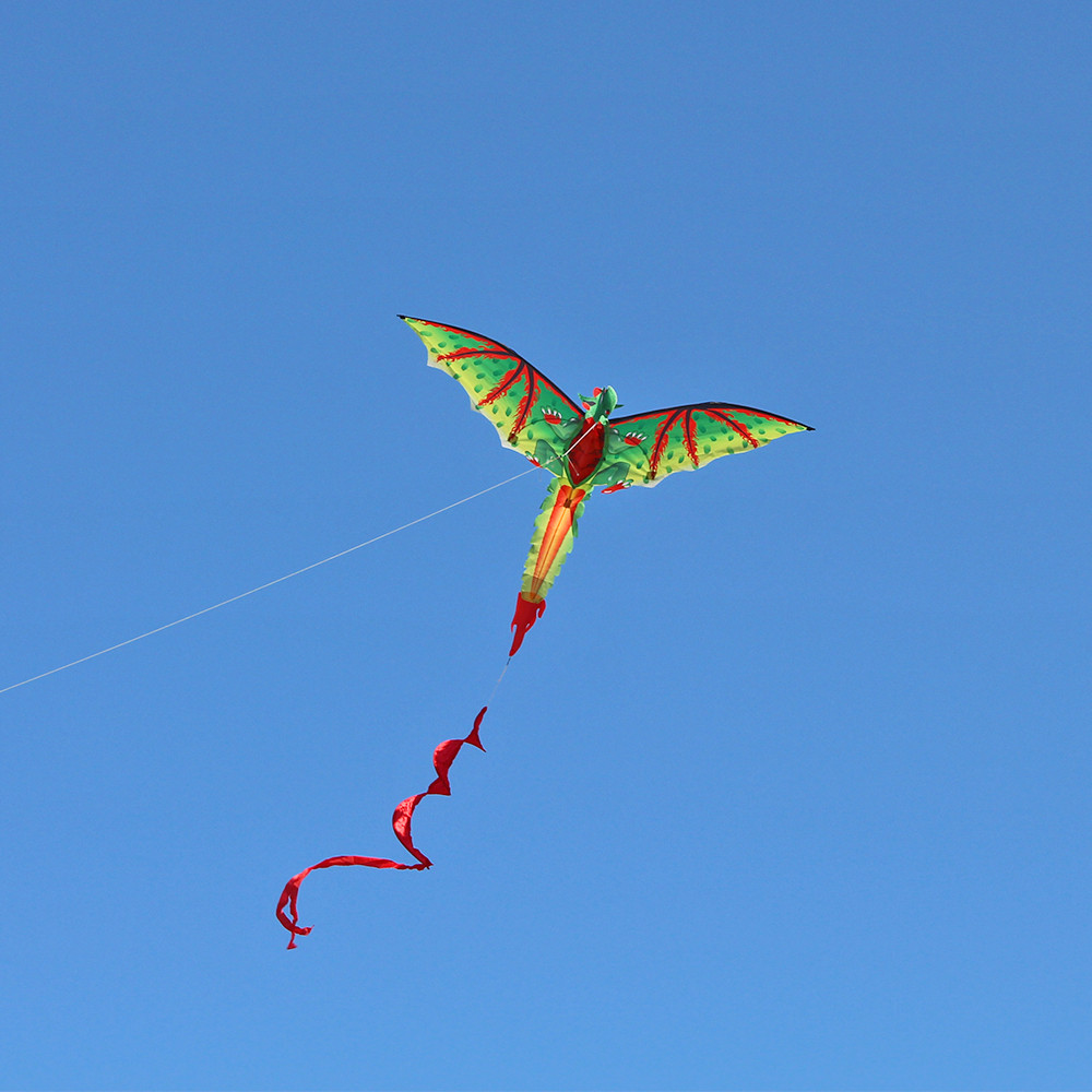 3D D-ragon K-ite Kids Toy  Out - Kids Unique Outdoor Toys recension och pris